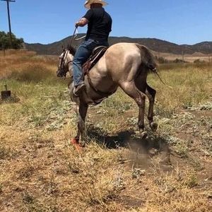 Meet your Posher, Jesse